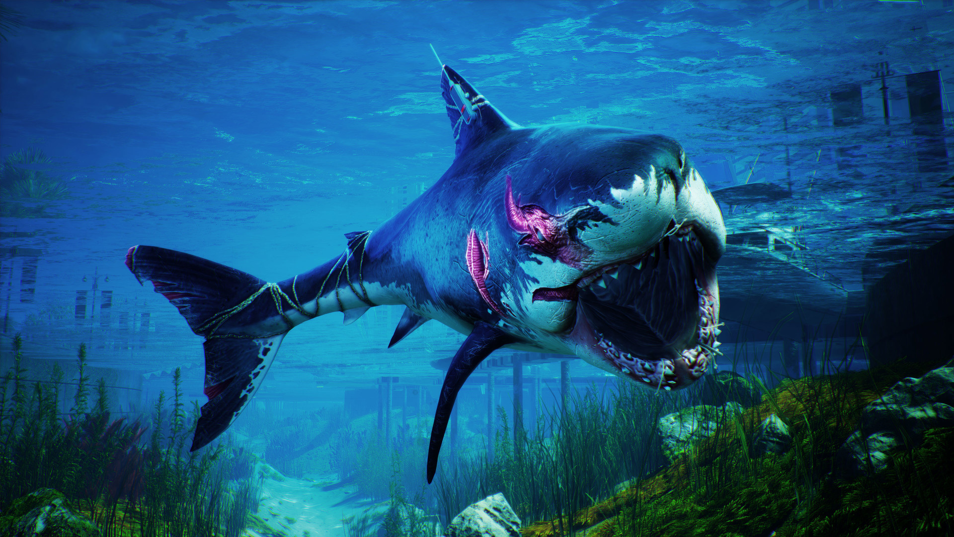 《食人鲨》IGN 7分：玩法有趣但缺乏深度