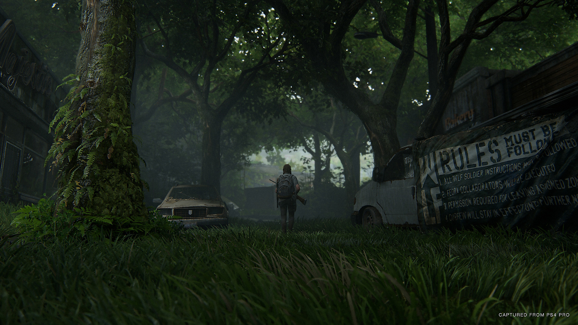 《最后的生还者2》大量新截图公开 捕捉自PS4 Pro版