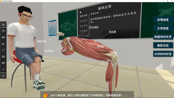 《矩道初中生物VR3D虚拟仿真实验室》绿色版