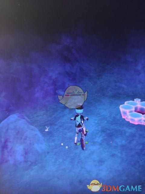 《宝可梦：剑/盾》斗志洞窟地鼠位置分享