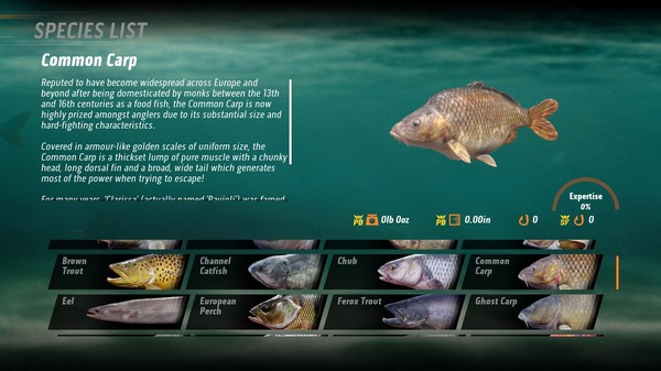钓鱼游戏《The Catch: Carp & Coarse》将登陆Steam平台：征服巨型大鱼！