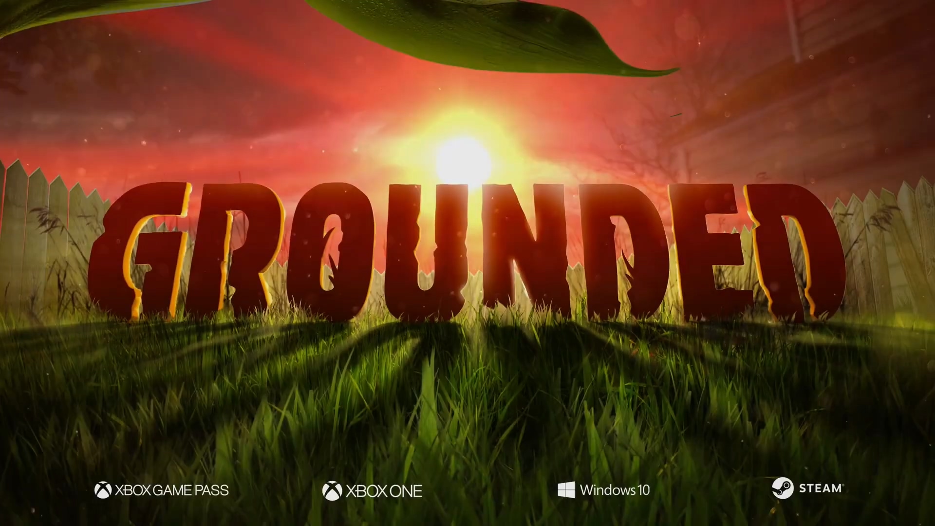 黑曜石《Grounded》全新预告 7月28日开启抢先体验