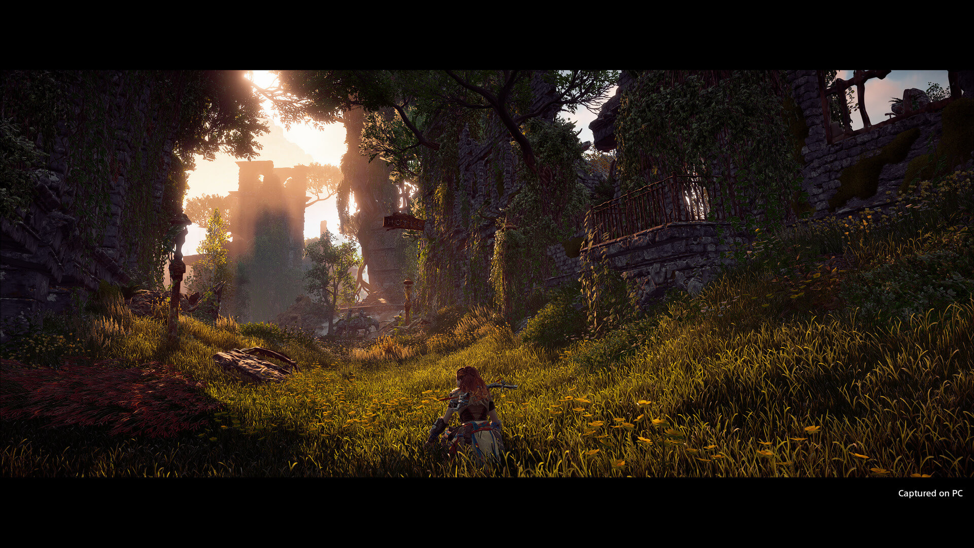 《地平线：黎明时分》PC版预载开启 新截图欣赏