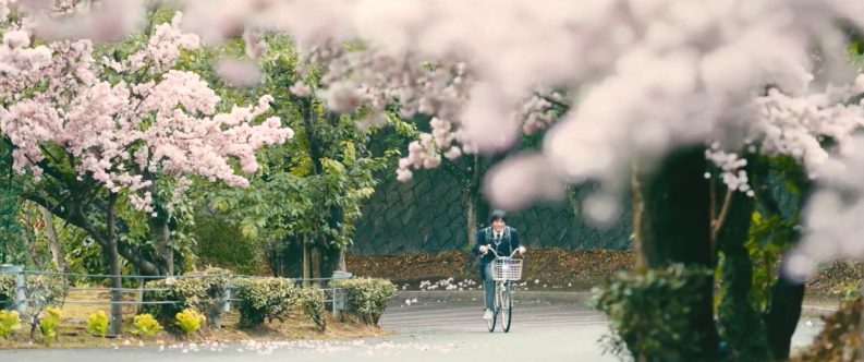 真人电影版《飙速宅男》开篇影像公布 今日在日本上映