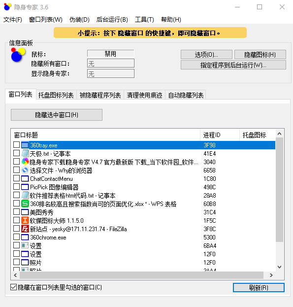 《隐身专家》电脑版