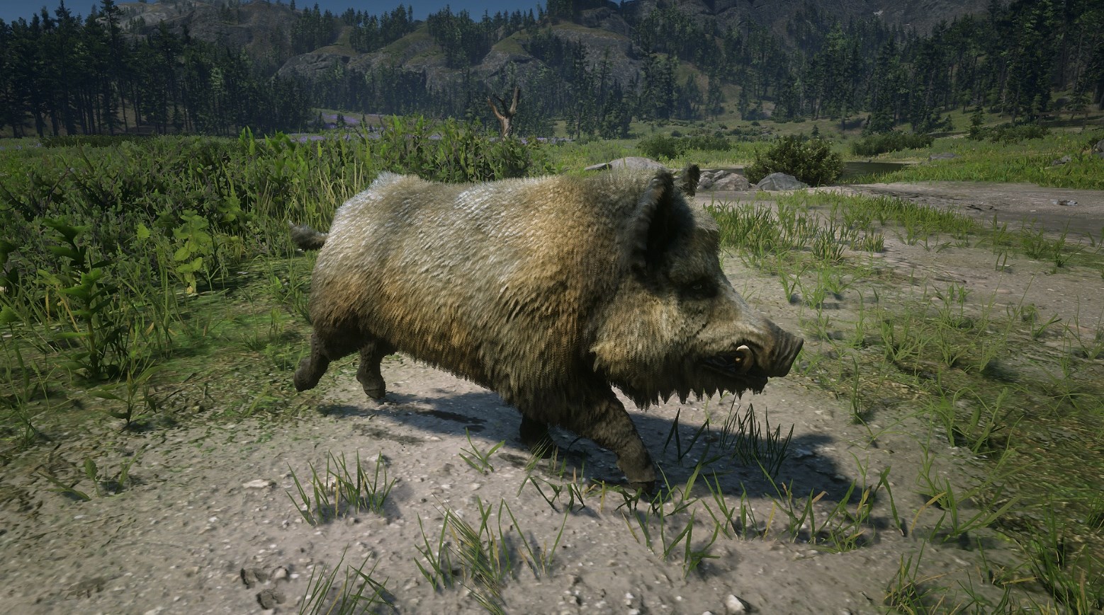 《荒野大鏢客2》傳說科基野豬及其服裝外觀一覽