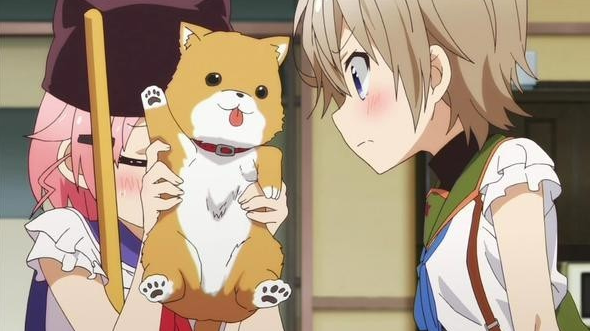 11月1日日本《犬之日》动画名犬评选犬夜叉只排第2位 第一位是哪位汪星人？