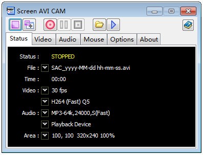 《Screen AVI CAM》绿色版