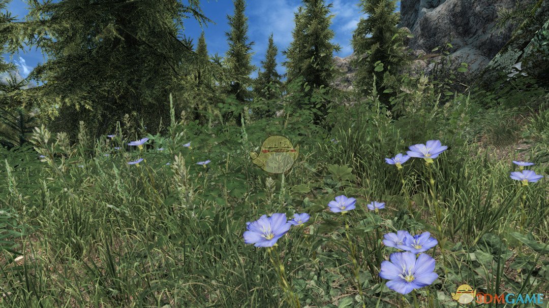 《上古卷轴5：天际重置版》3D高清植物MOD