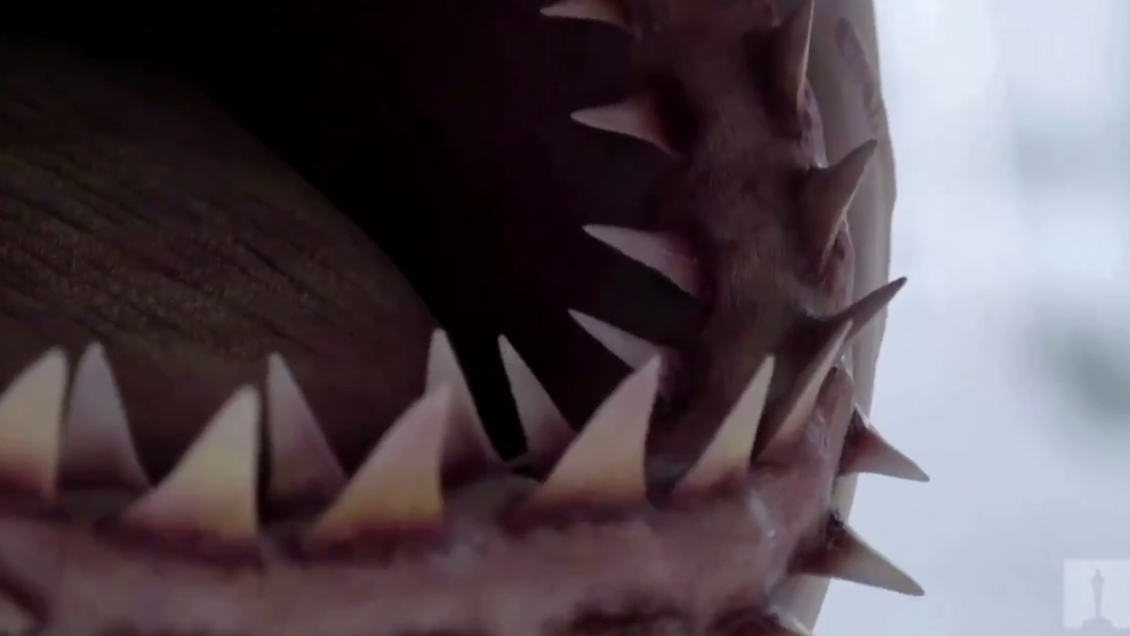 斯皮尔伯格名作《大白鲨》原型模型重见天日 进驻奥斯卡博物馆