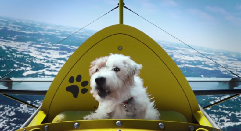 微软2020圣诞宣传片“狗的美梦”：狗也能在梦中体验游戏的快乐