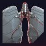 《赛博朋克2077》合成肺叶图鉴