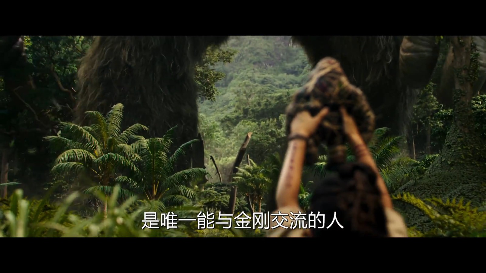 《哥斯拉大战金刚》中文预告片公开 巨兽生死较量