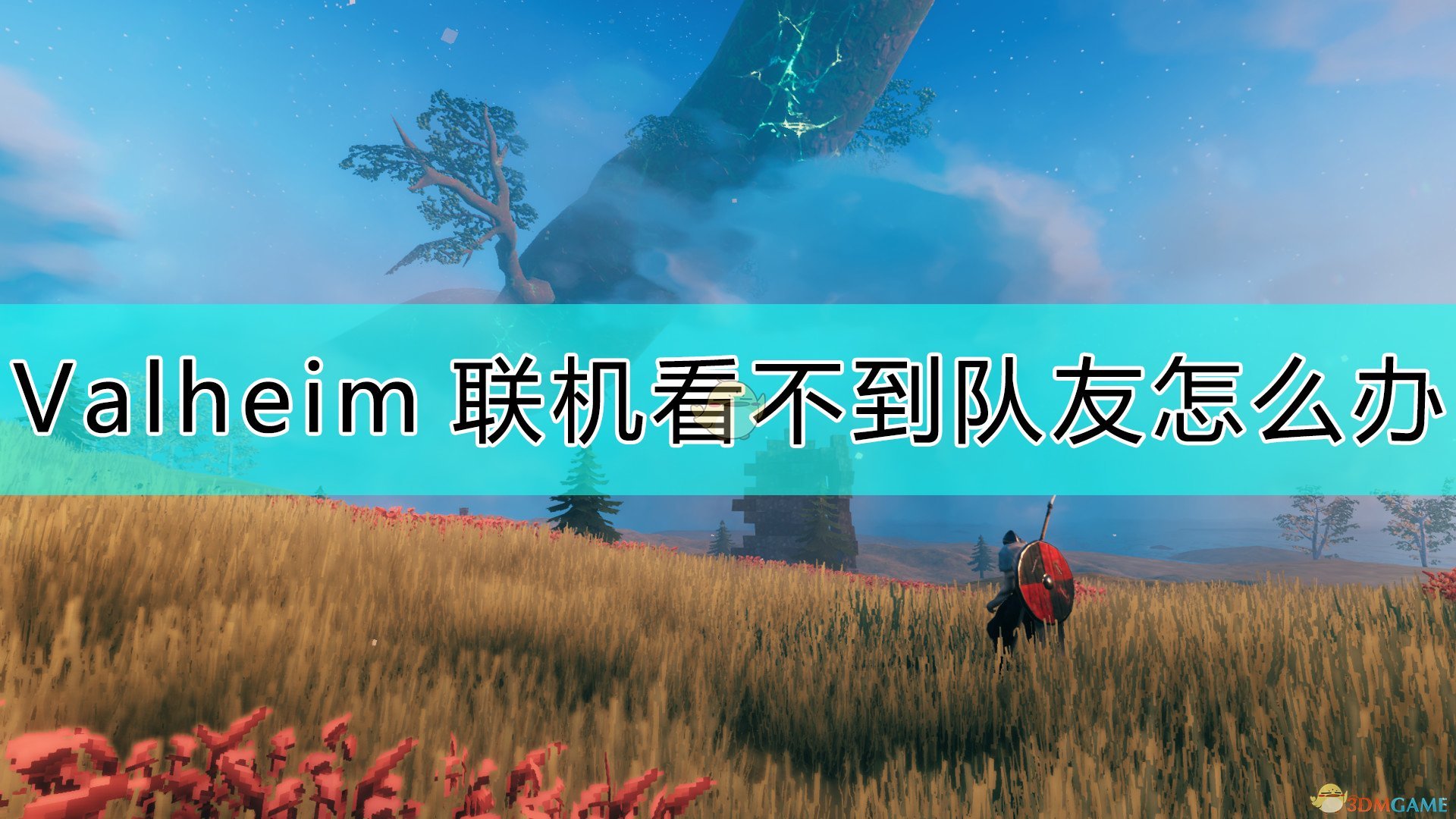 《Valheim：英灵神殿》联机看不到队友的原因