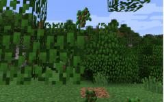 《我的世界》1.12.2砍树使树叶快速腐烂MOD