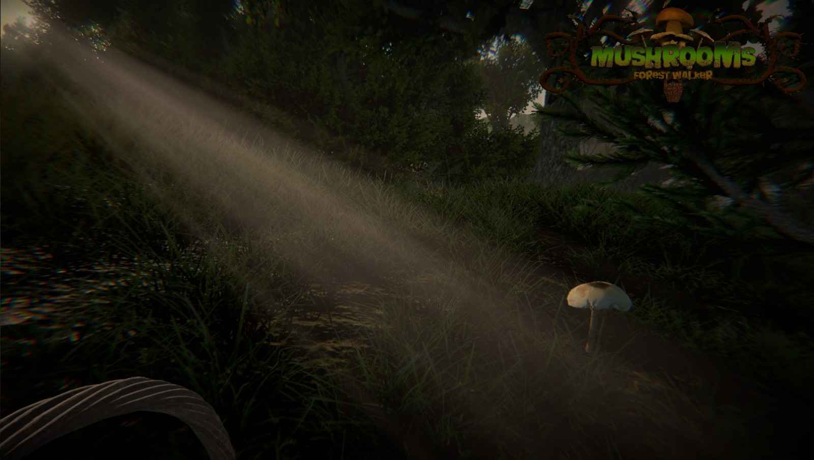 采蘑菇也能大逃杀 《蘑菇：森林行者》上架Steam