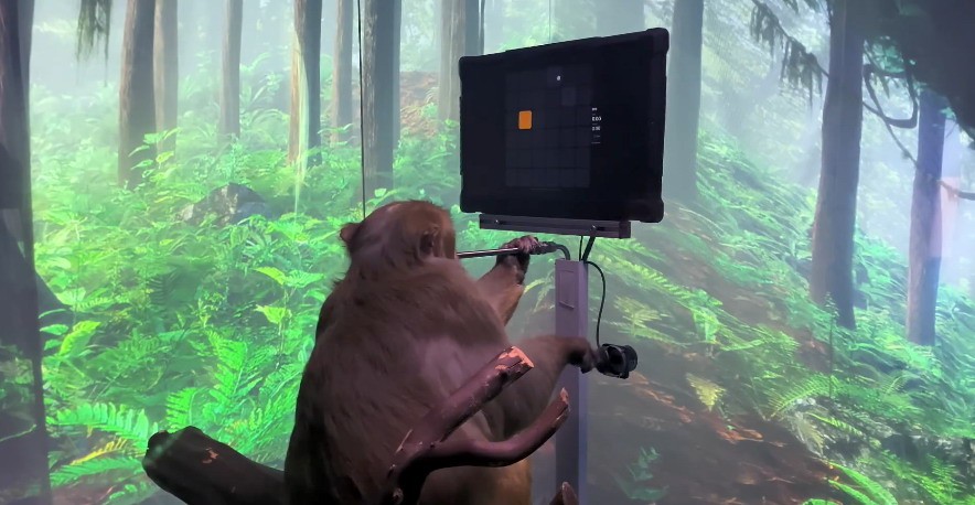 3DM速报：《生化危机Re:Verse》多半差评，猴子能用“意念”玩游戏
