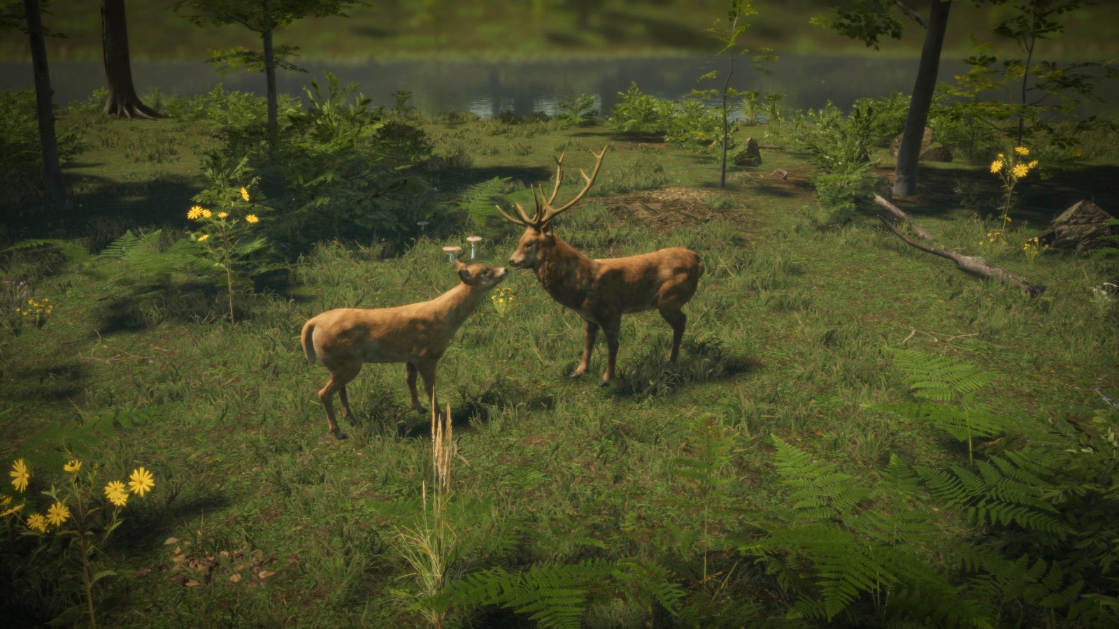 Steam新作《自然本能》 透过游戏体验保护野生动物