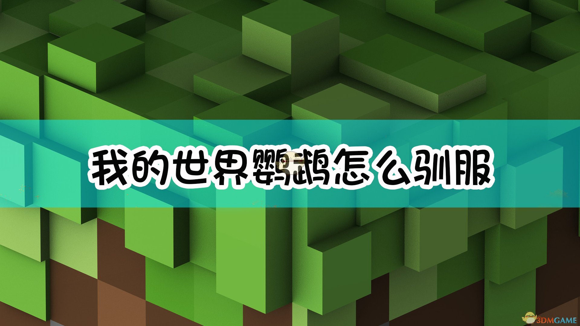 ҵôѱ