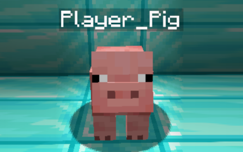 《我的世界》1.16.5代表玩家的猪MOD