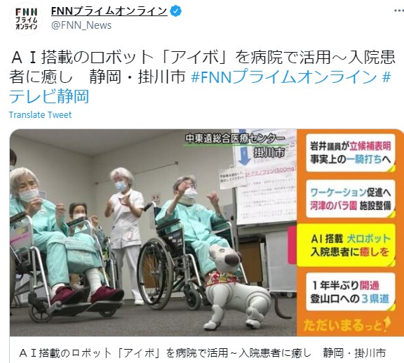 乖巧可爱治愈系 日本医院引入索尼机器狗AIBO效果不错