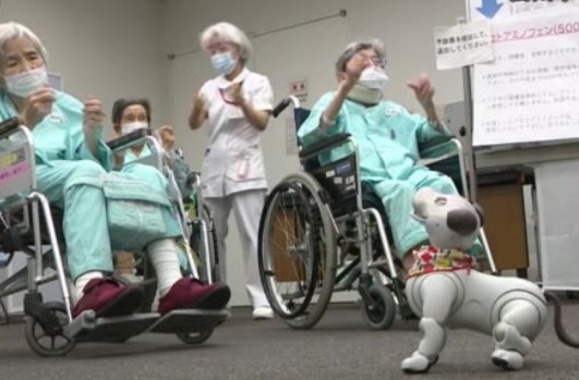 乖巧可爱治愈系 日本医院引入索尼机器狗AIBO效果不错