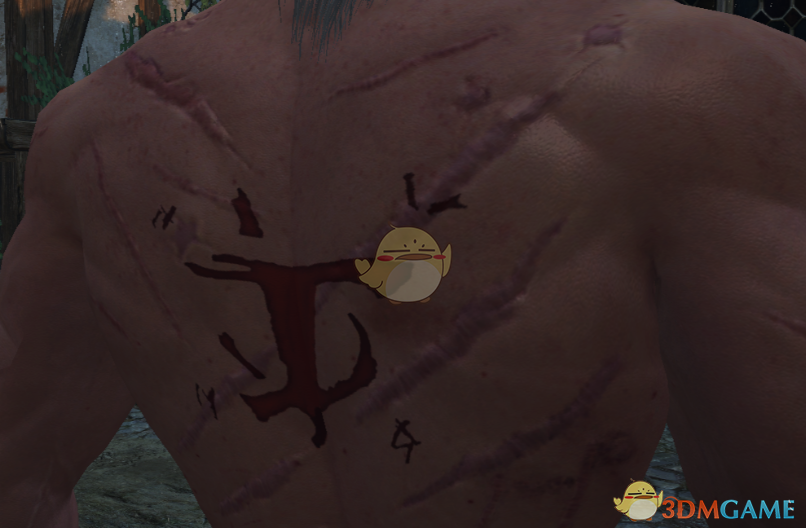 《巫师3：狂猎》毁灭战士背部纹身MOD