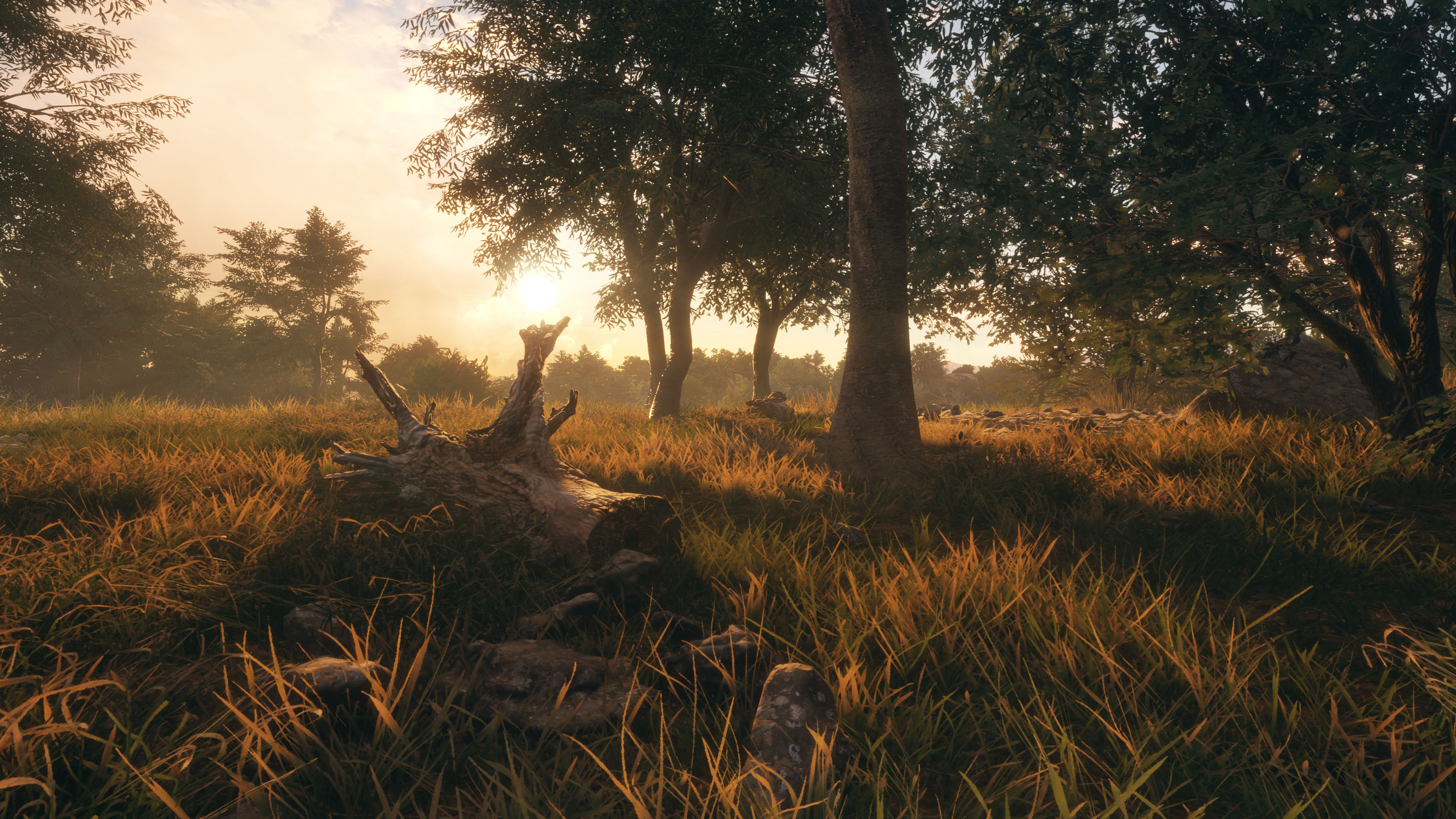 《猎人：荒野的召唤》的全新DLC即将上线 沙漠环境下狩猎