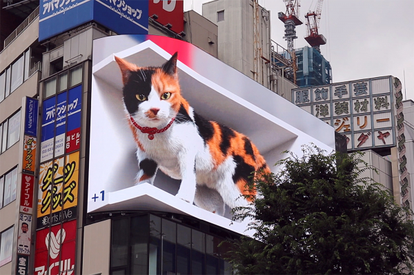 日本新宿东心突现巨型猫咪 引支路人围不俗网友热议
