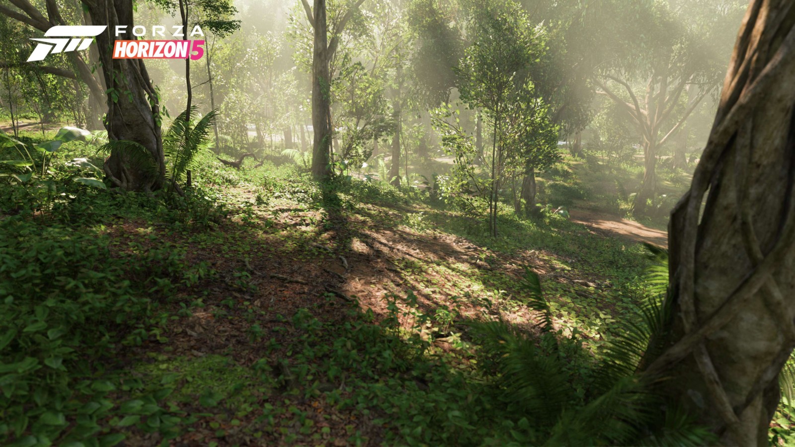 《极限竞速：地平线5》全新4K截图展示