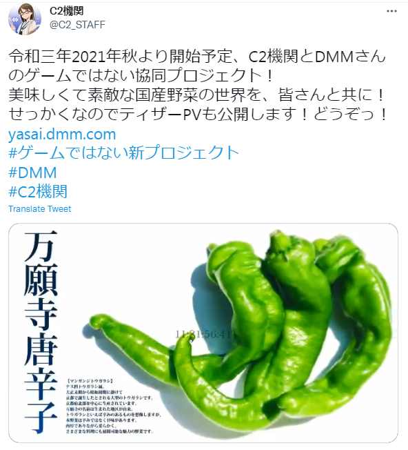 舰娘厂C2机关公布全新游戏策划 高度疑似蔬菜娘