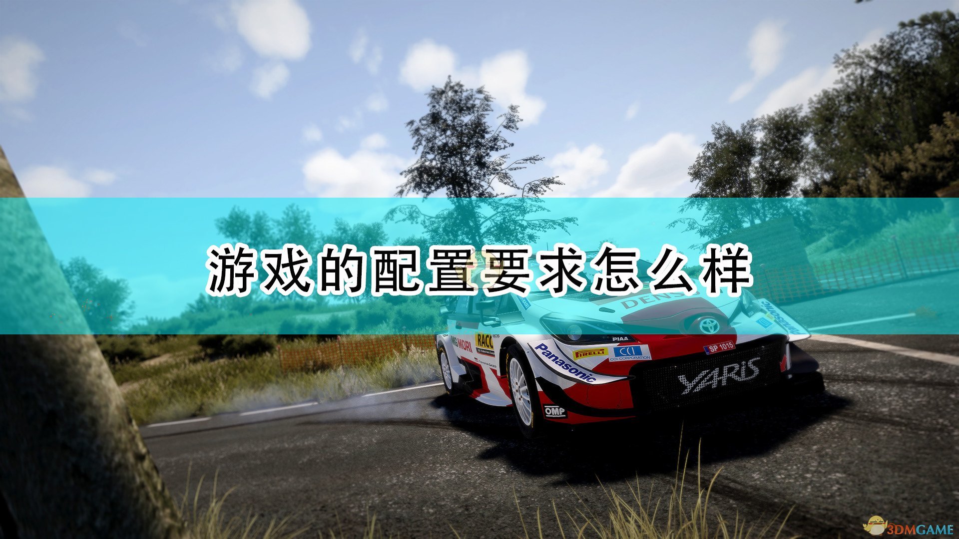 《世界汽车拉力锦标赛10》游戏配置要求一览