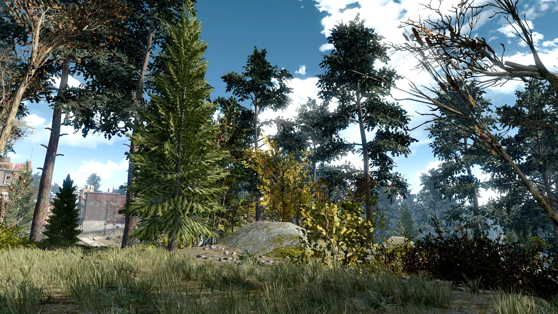 绿意盎然 《辐射4》森林MOD为游戏添加18000棵树木