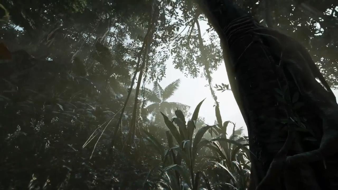 《孤岛惊魂6》AMD特性演示视频 画面超赞很真实