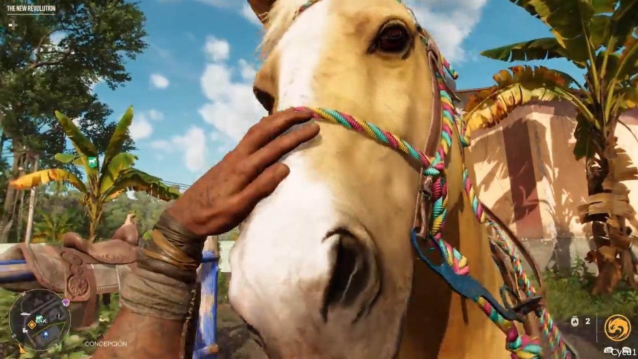 《孤岛惊魂6》新实机视频 玩家与动物互动展现