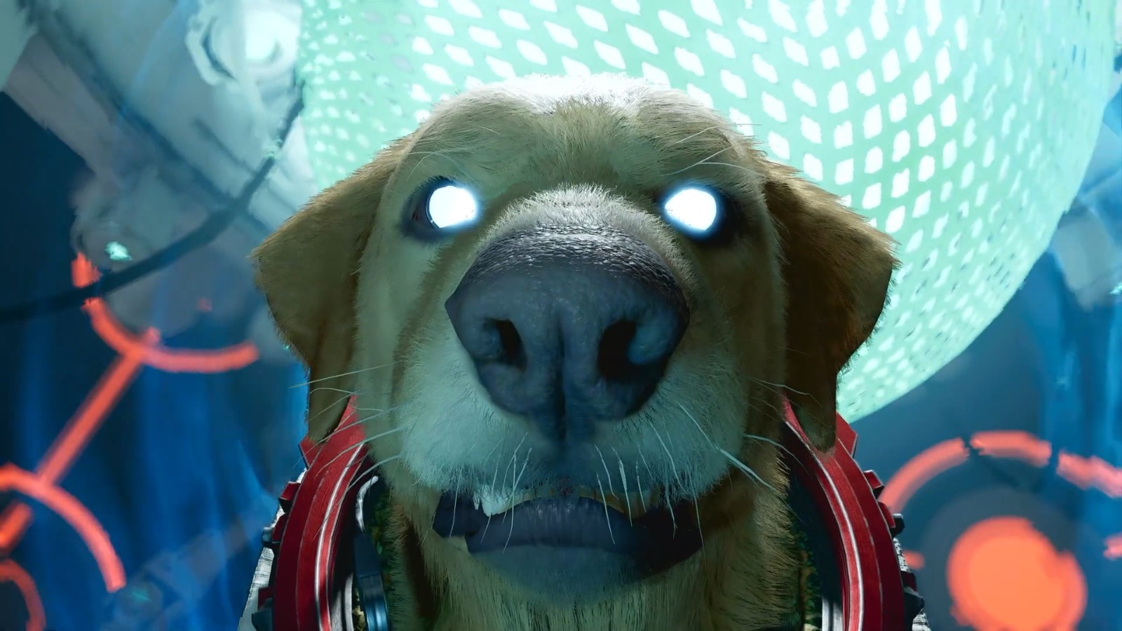 《漫威银河护卫队》太空狗科斯莫介绍 最忠实的盟友