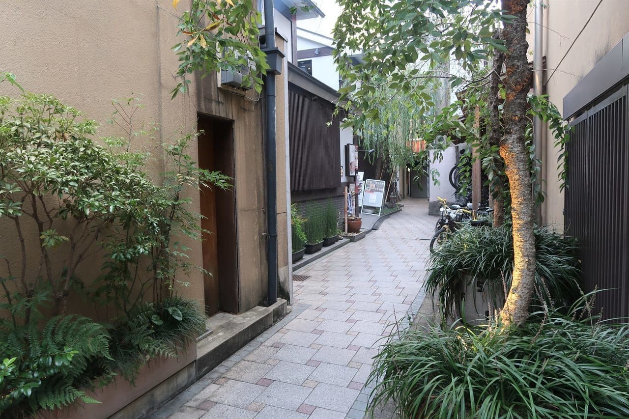 奇趣发现 网友晒图京都街道草坪酷似《马里奥64》材质 