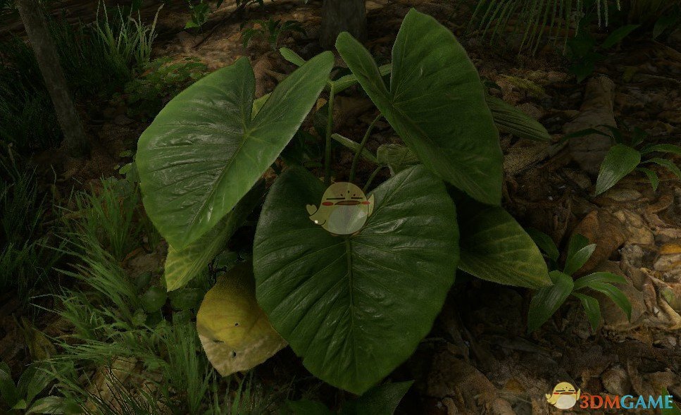 《绿色地狱》植物图鉴一览