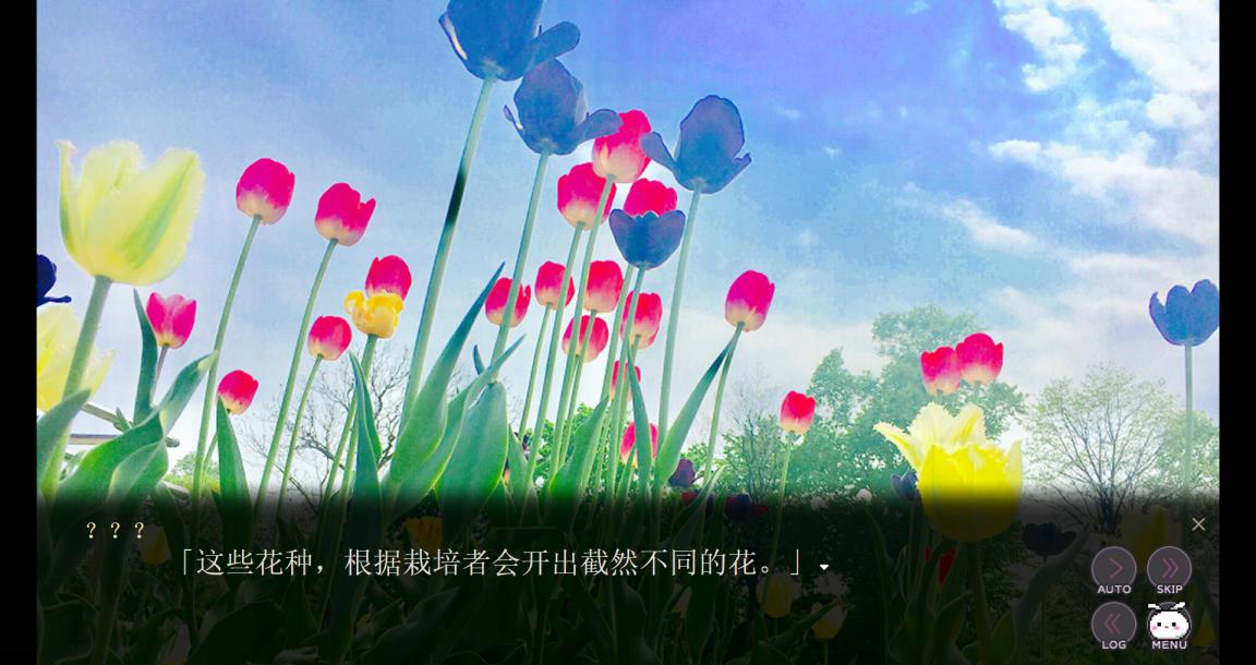 《精神病大王花》评测：属于精神异常者的Happy End