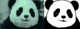 冰墩墩和熊猫头，谁才是中国人最喜欢的熊猫？