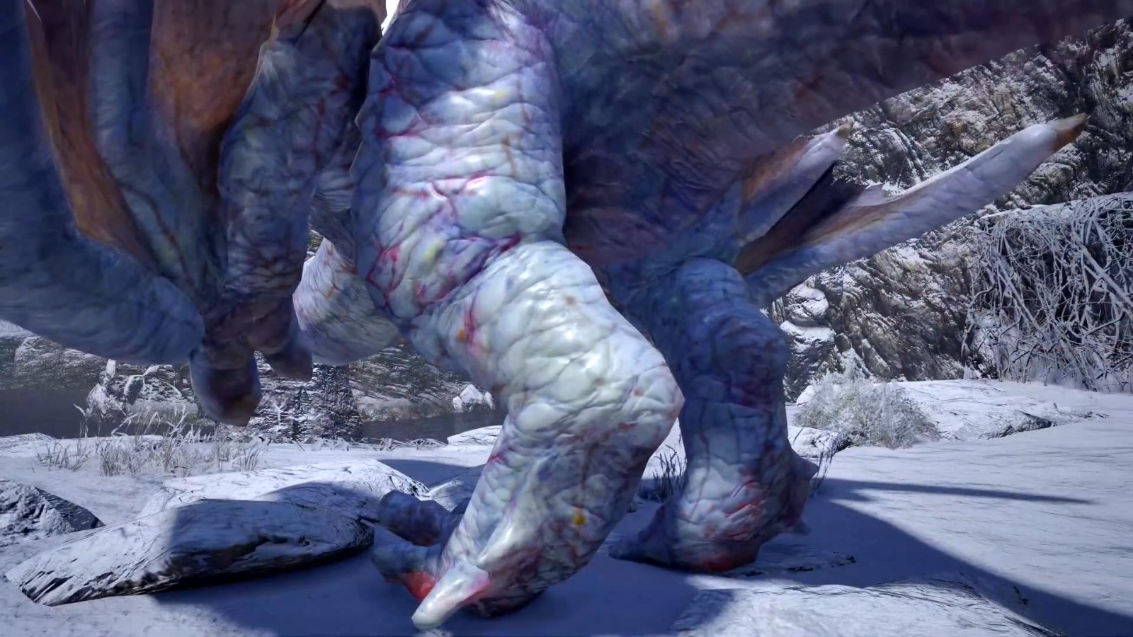 《怪物猎人：崛起》PC版奇怪龙高清模型展示视频