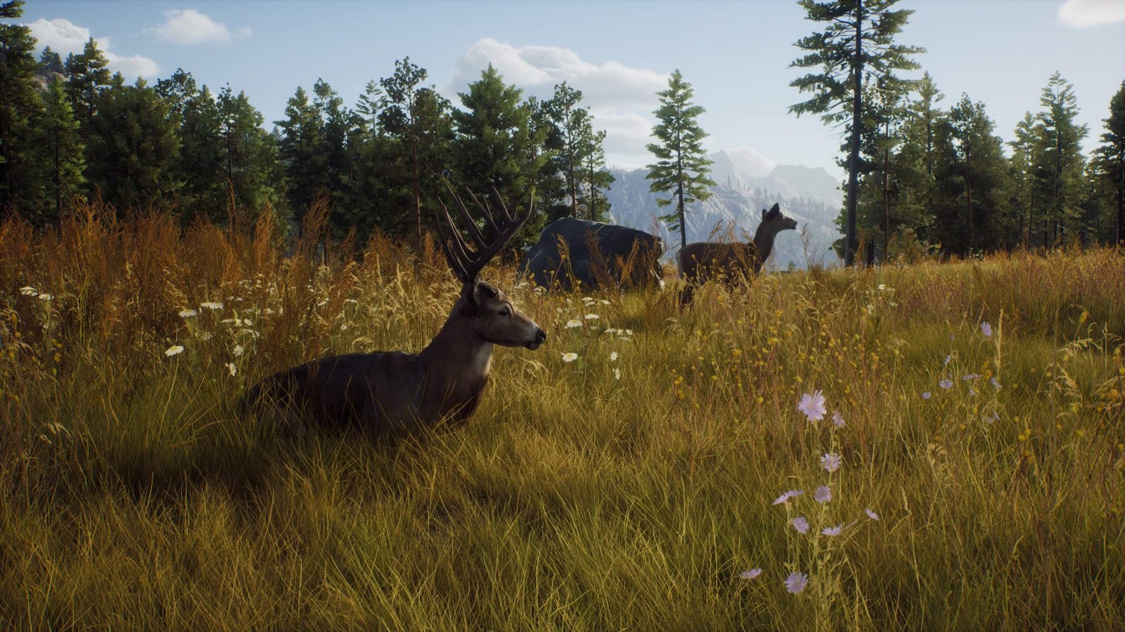 纯粹打猎游戏《猎人之路》截图及细节公布