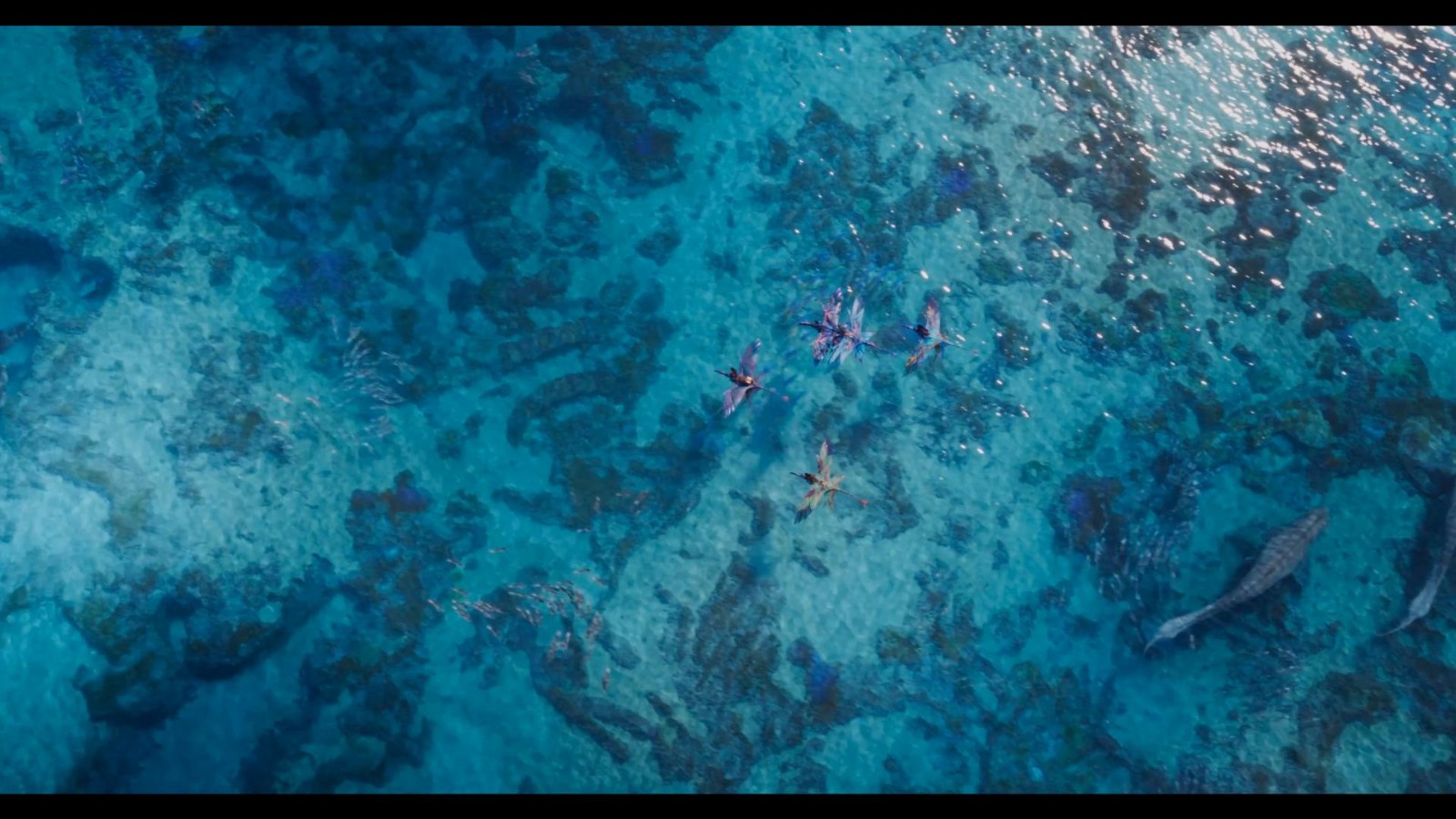 《阿凡达2：水之道》首支先导预告片泄露，预计2022年上映
