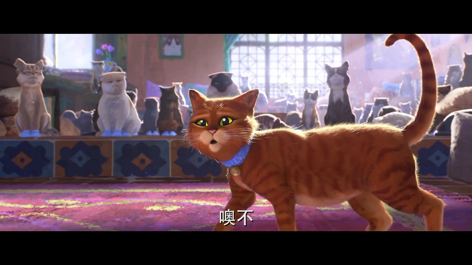 《穿靴子的猫2》全新中字预告 12月21日上映