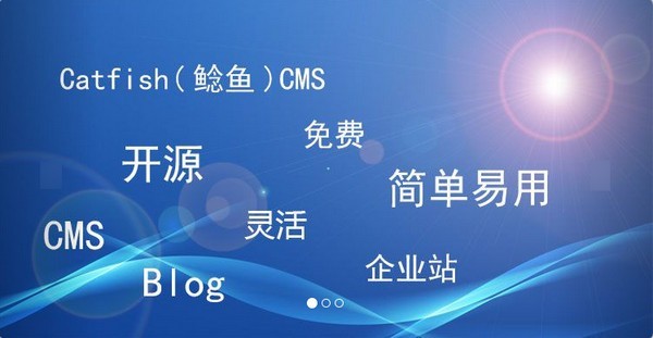 Catfish(鲶鱼)CMS5.9
