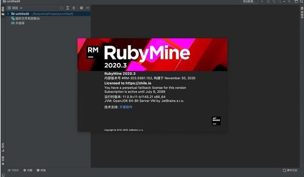 RubyMine1.0