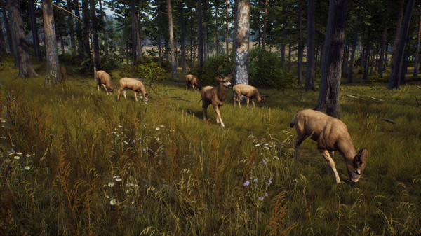 开放世界佃猎冒险游戏《猎人之路》上线Steam 8月支卖