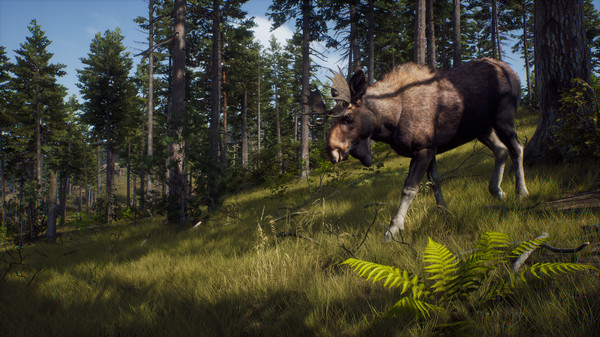 开放世界狩猎冒险游戏《猎人之路》上线Steam 8月发售