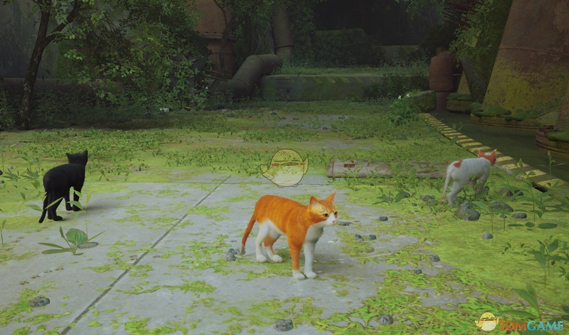 《Stray》橘白猫MOD