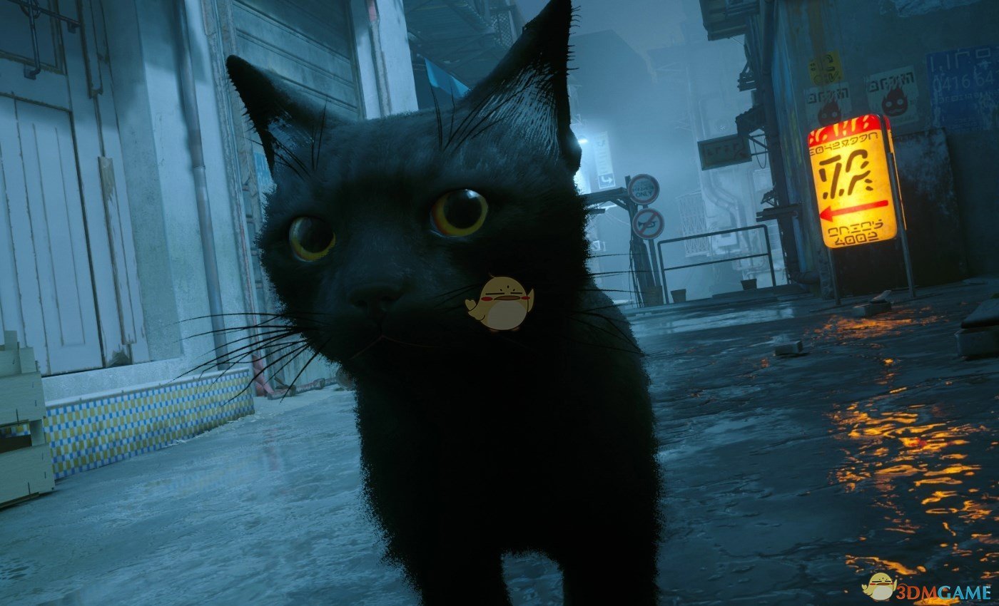 《Stray》不同瞳色的黑猫MOD